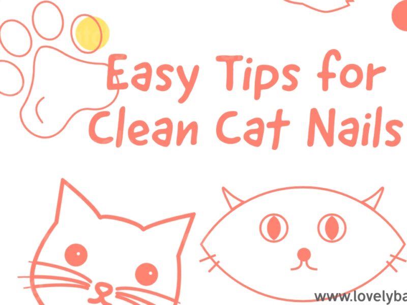 Easy Tips for Clean Cat Nails