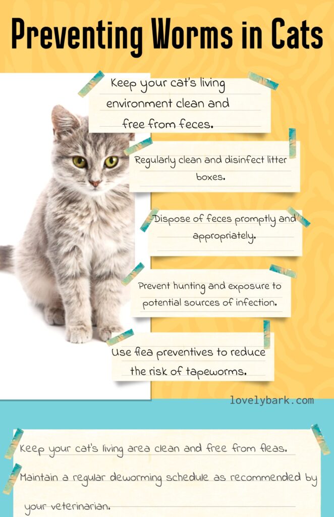 Preventing Worms in Cats