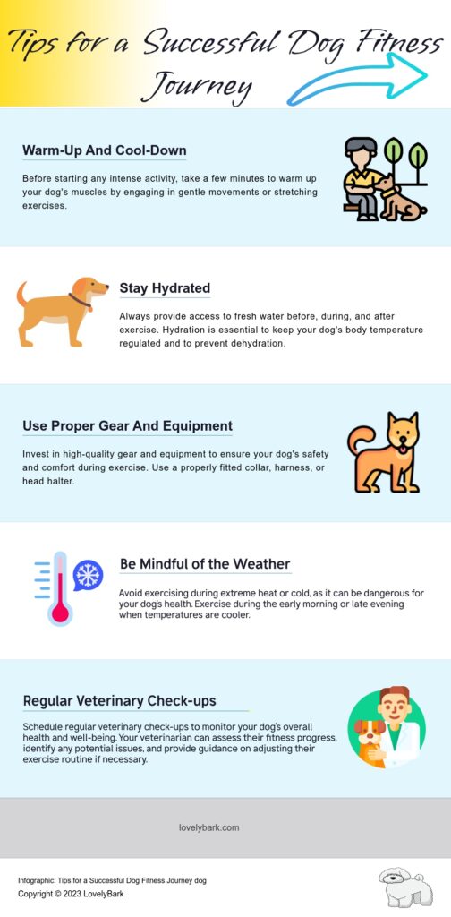 Tips for a Successful Dog Fitness Journey