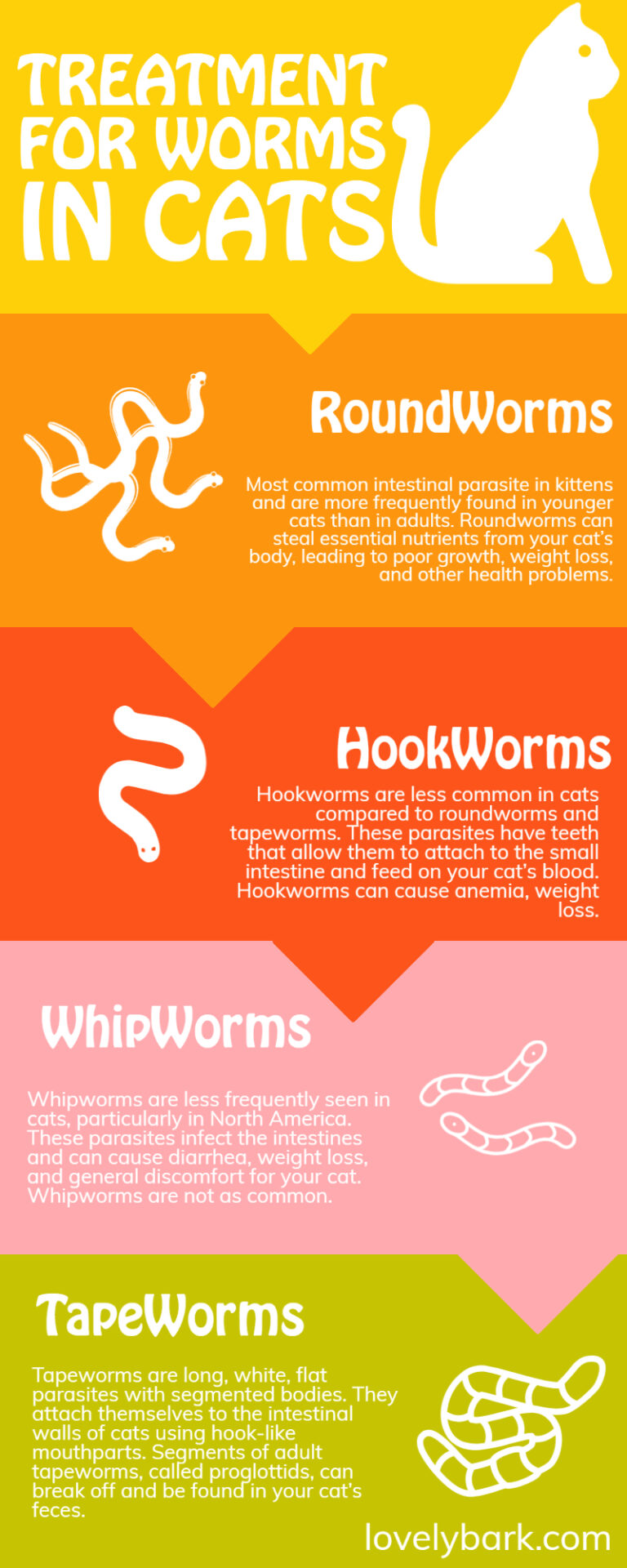 Best Treatment for Worms in Cats | Symptoms, Causes & Prevention ...